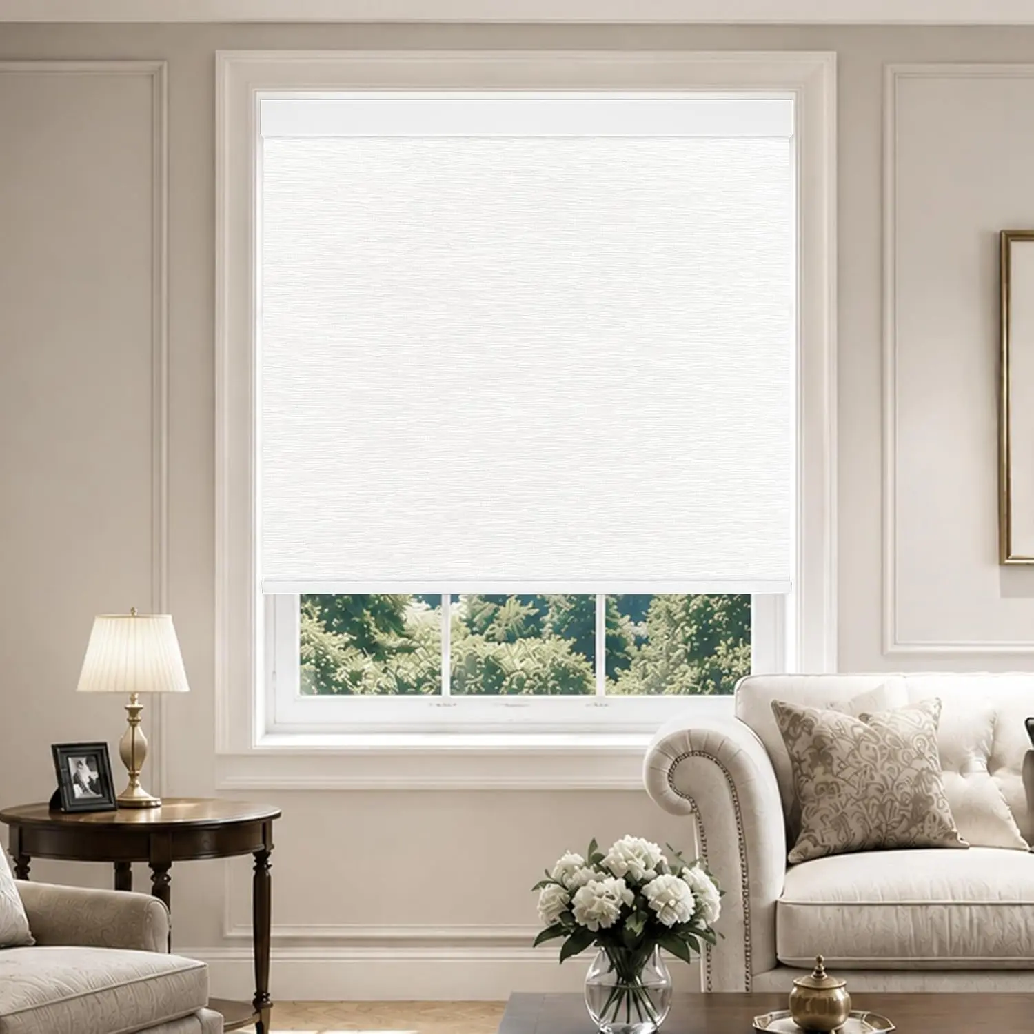 Cordless Blackout Roller Shades Blinds for Indoor Windows Free-Stop Blackout Blinds Window Roller Blinds for Home and Office, Modern Window Blind Color-Matched