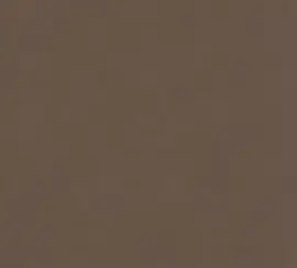 Coffee color